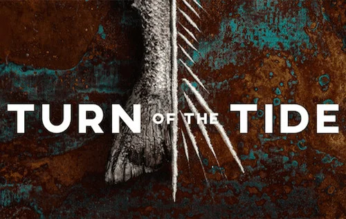 IPTV kopen met stabiele servers en snelle zenderwisseling